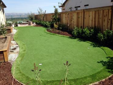 Artificial Grass Photos: Golf Putting Greens Sherman Oaks California Synthetic Turf